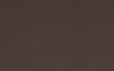 SE49-chestnut.jpg